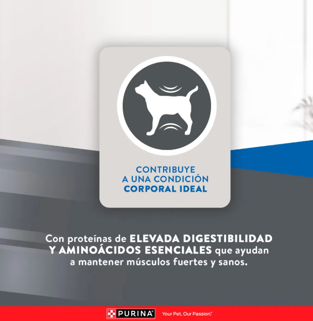 Purina Excellent gato adulto Mantenimiento 15 kg