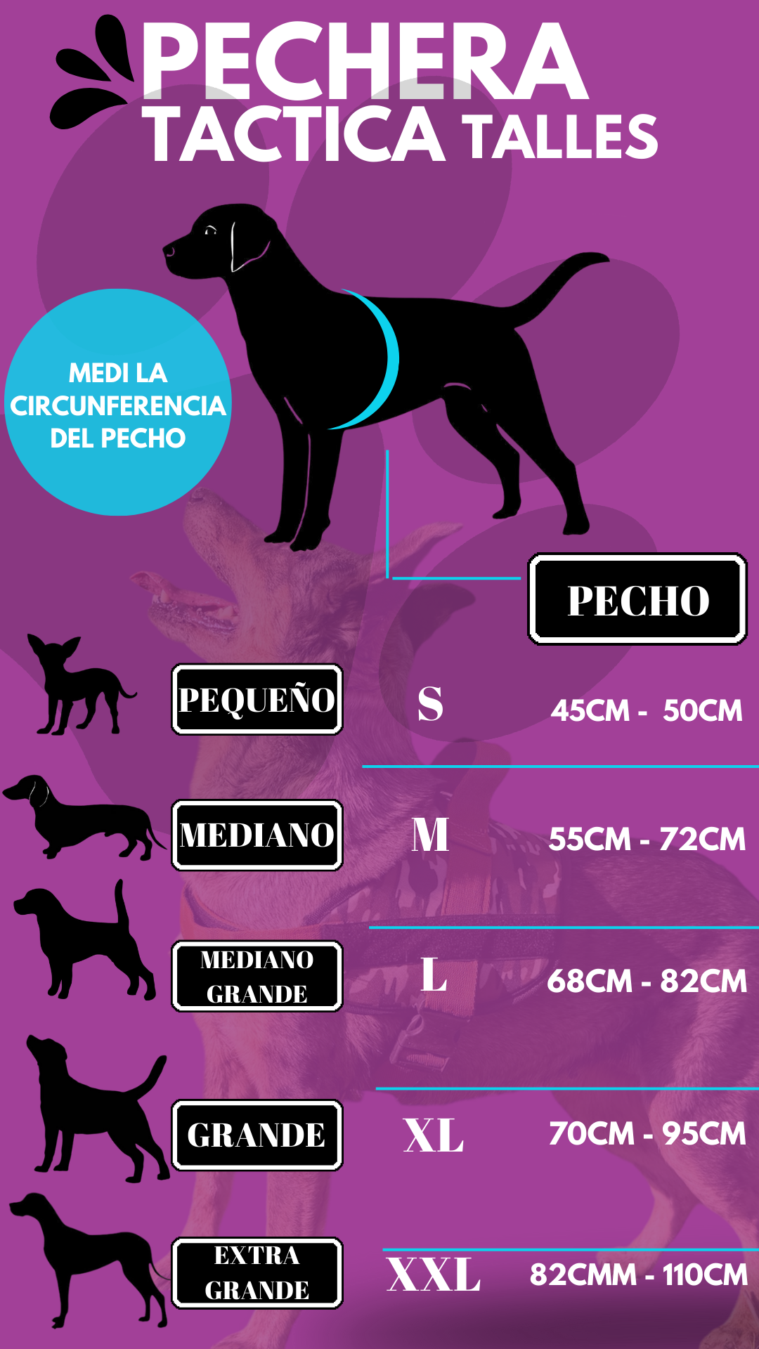 Pechera táctica