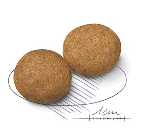 Royal Canin Medium Adult 15 kg.