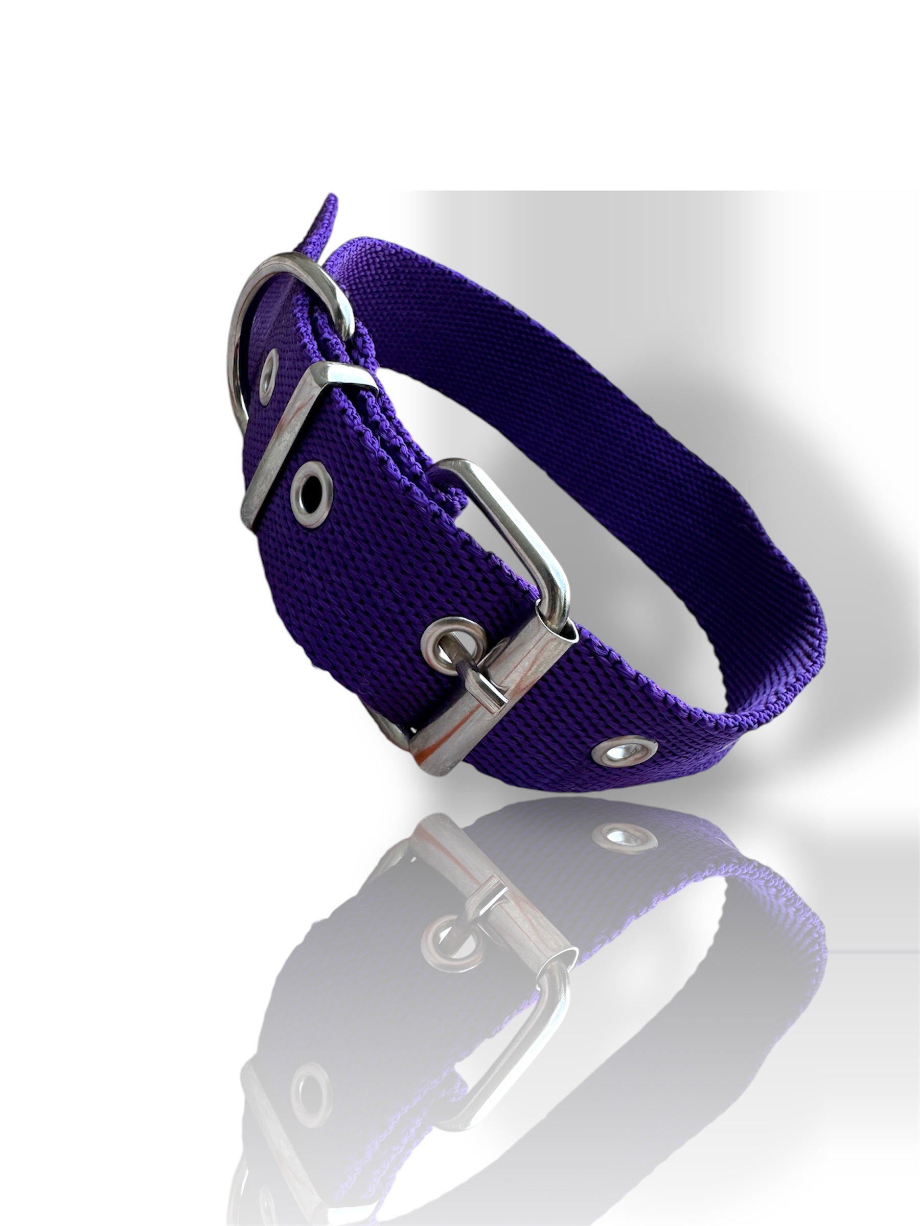 Collar para perro