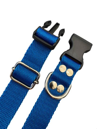 Collar para perro regulable 