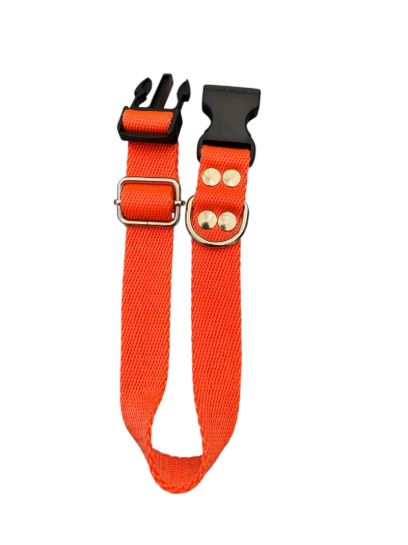 Collar para perro regulable 