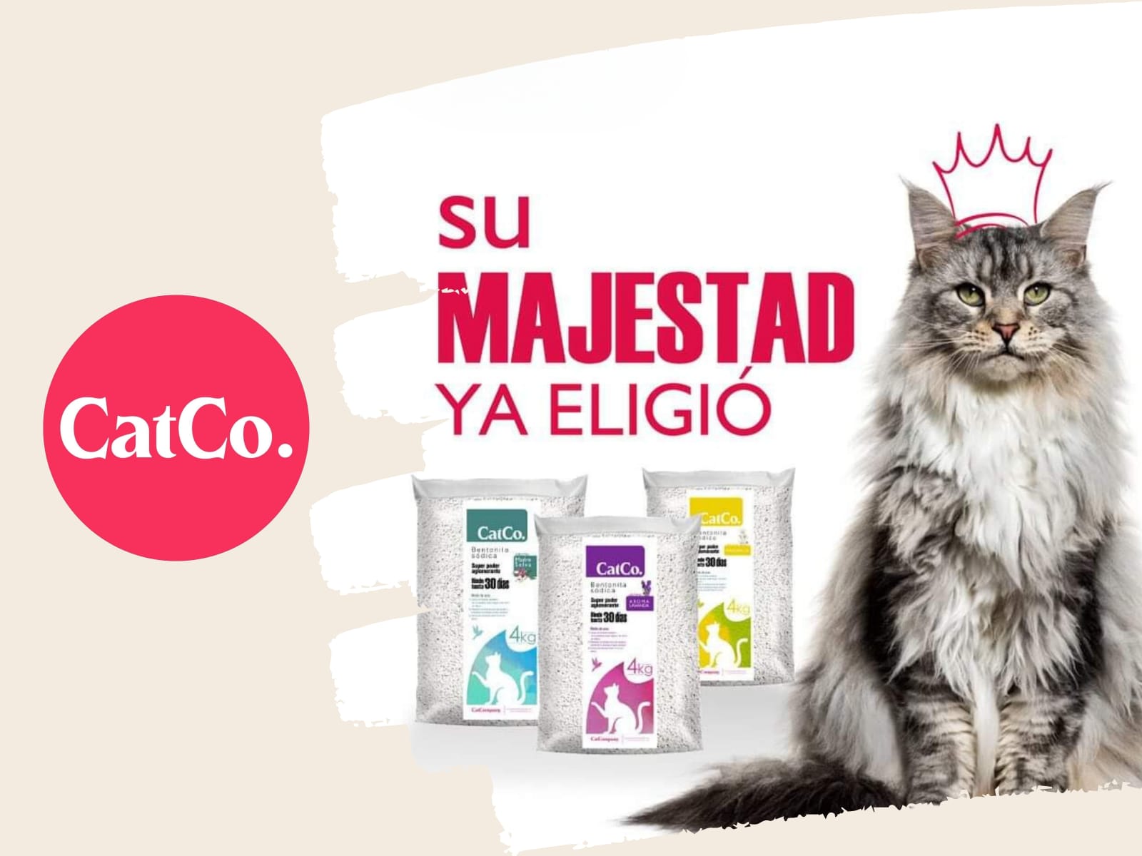 Arena aglutinante Cat Company