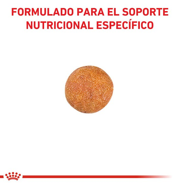 Royal Canin Urinary S/O gatos 1.5 kg