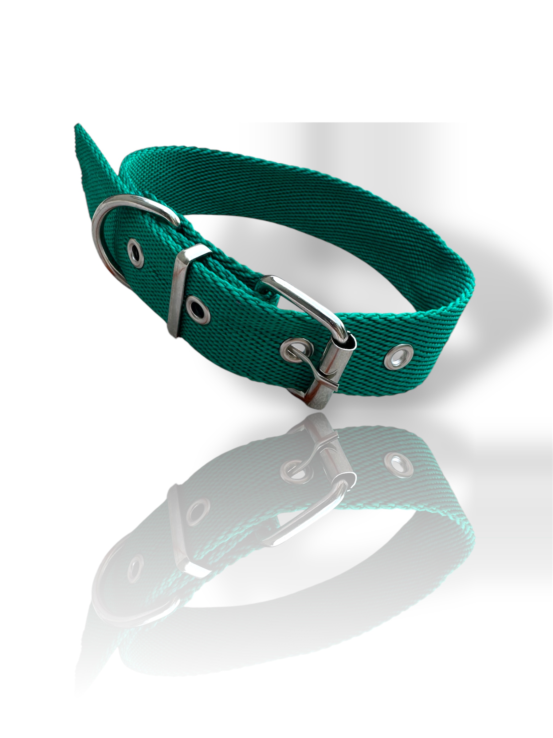 Collar para gato