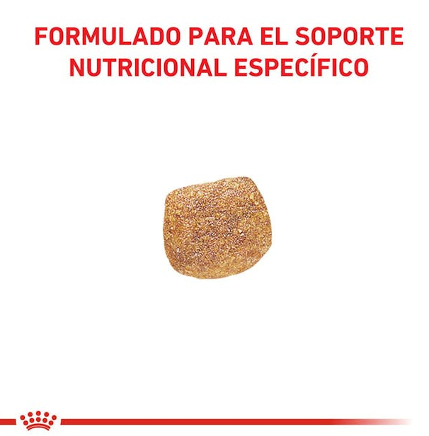 Royal Canin Urinary S/O perros 1.5 kg.