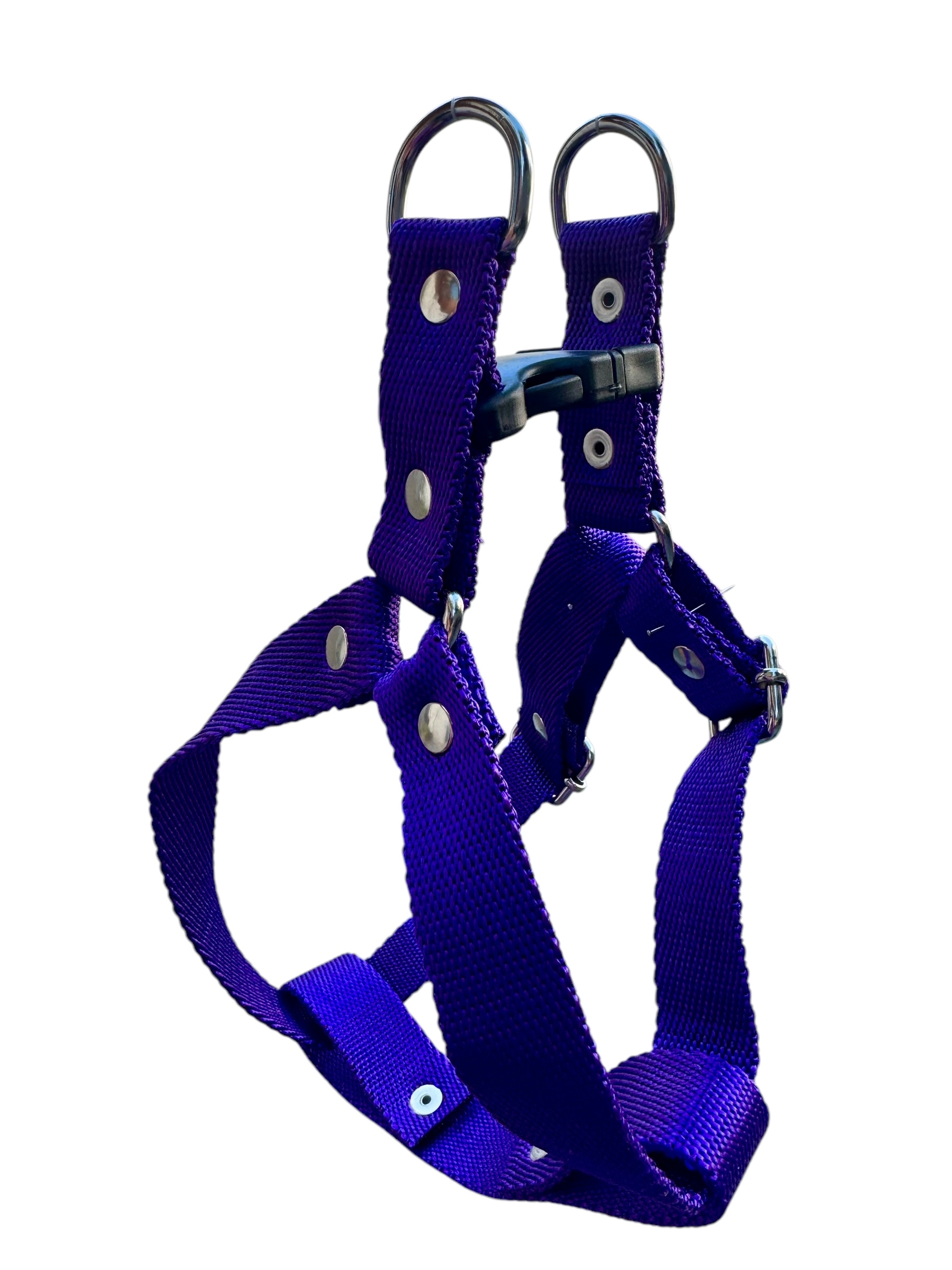 Conjunto Pretal liso "Y" + Correa