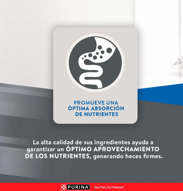 Purina Excellent gato adulto Mantenimiento 15 kg