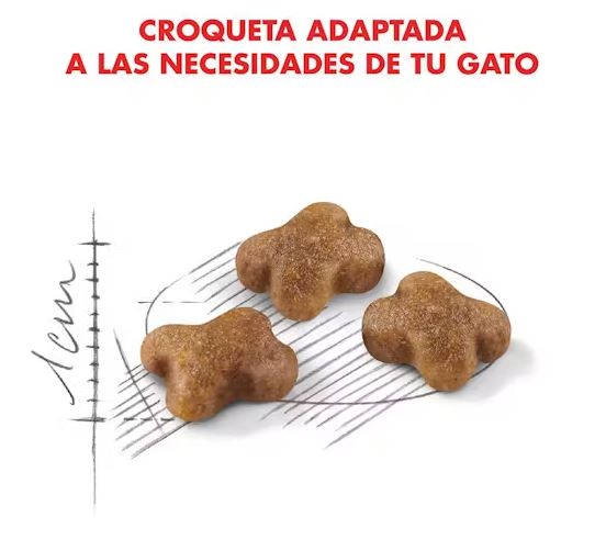 Royal Canin Kitten 7,5 kg.