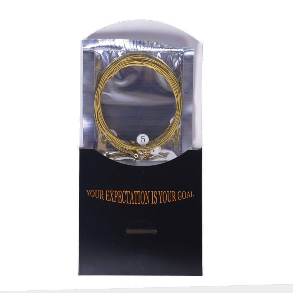 Hertz Rosewood Acoustic Guitar Strings