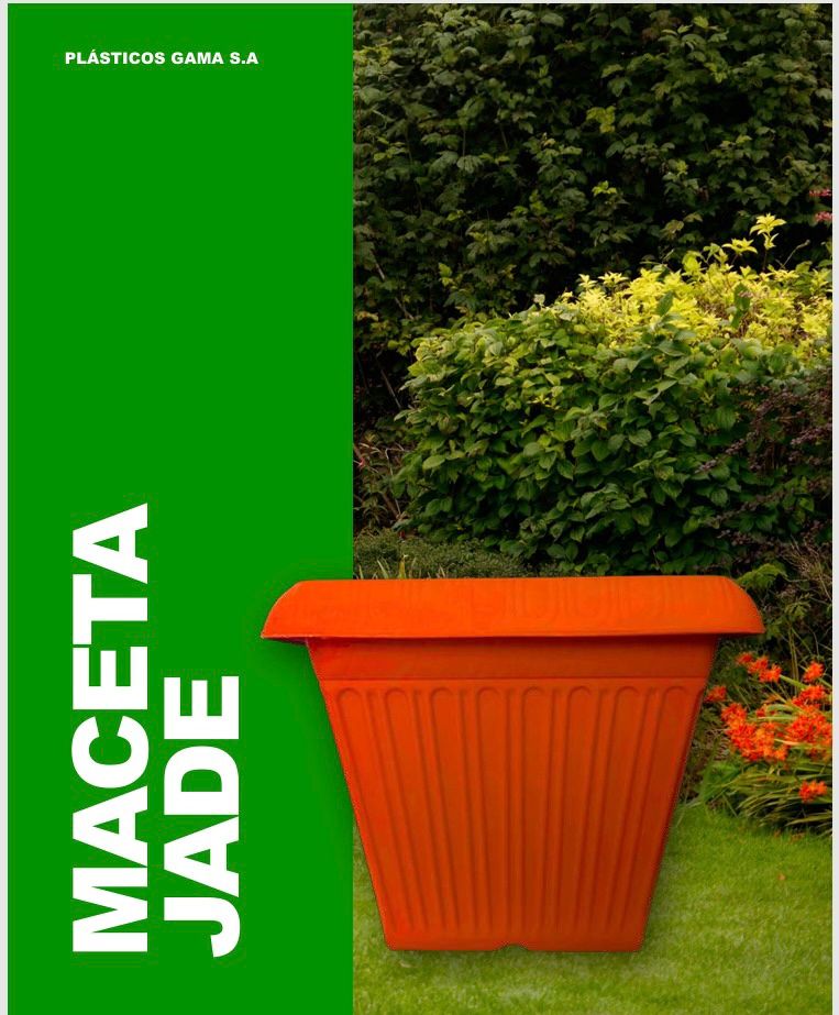Maceta Jade