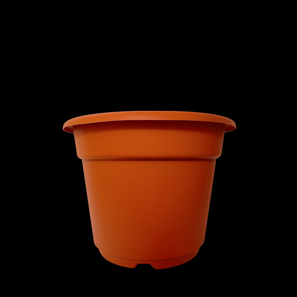 Maceta Rocio #1