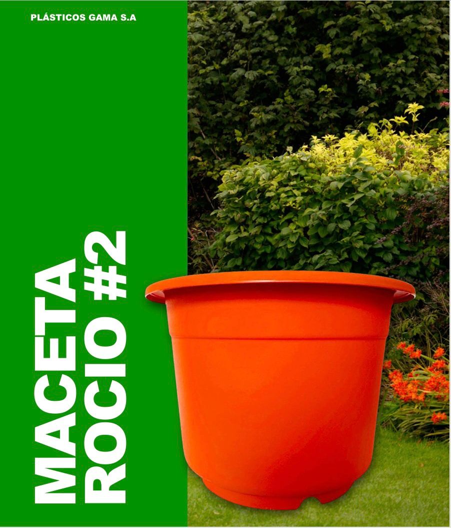 Maceta Rocio #2