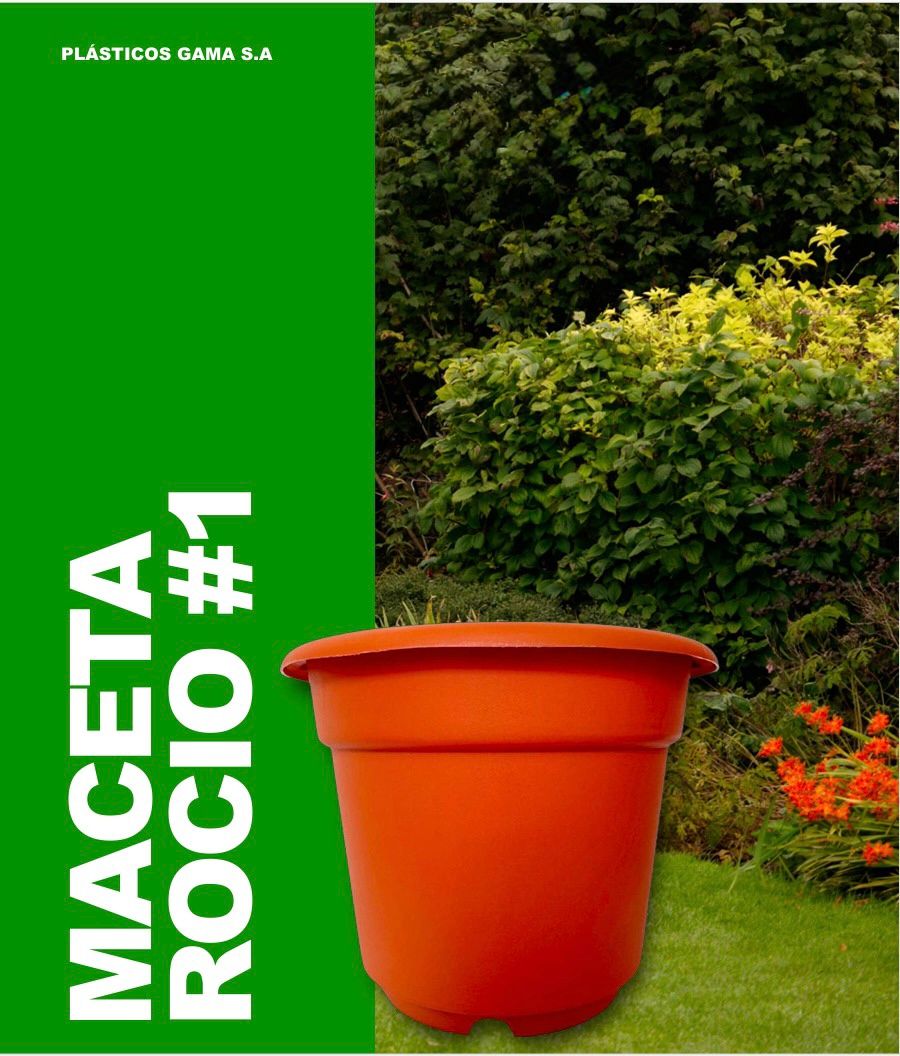 Maceta Rocio #1