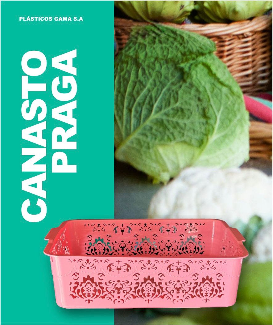 Canasto Praga