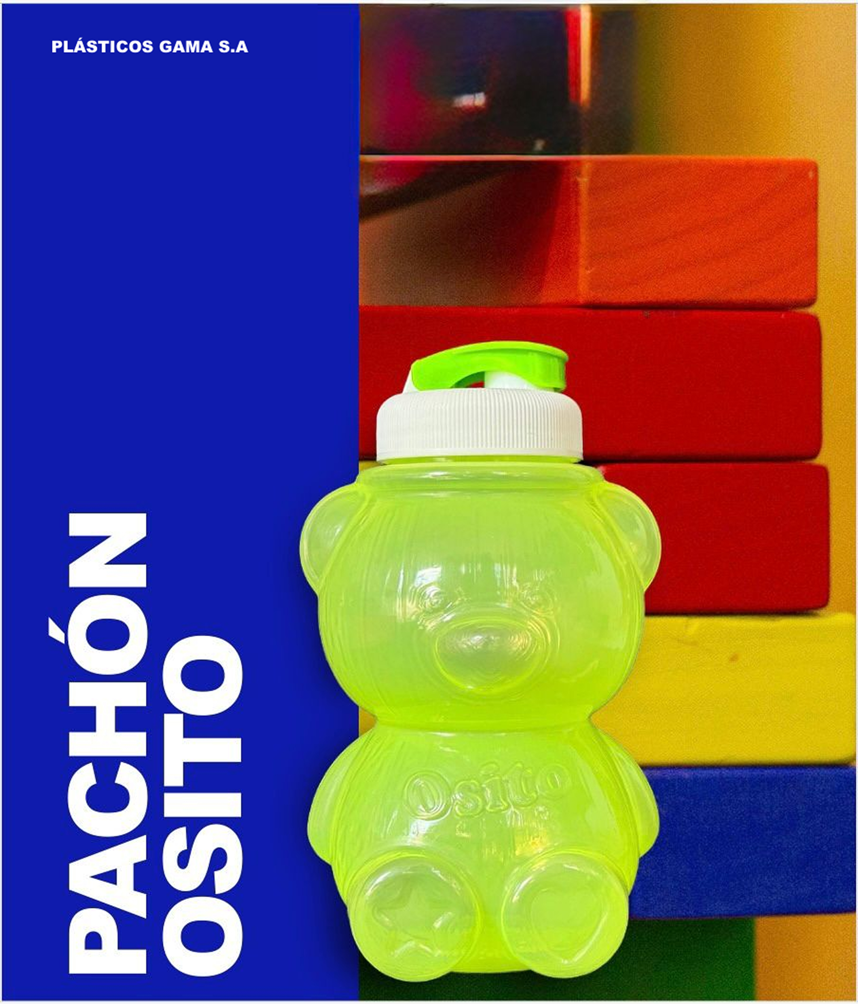 Pachón Osito