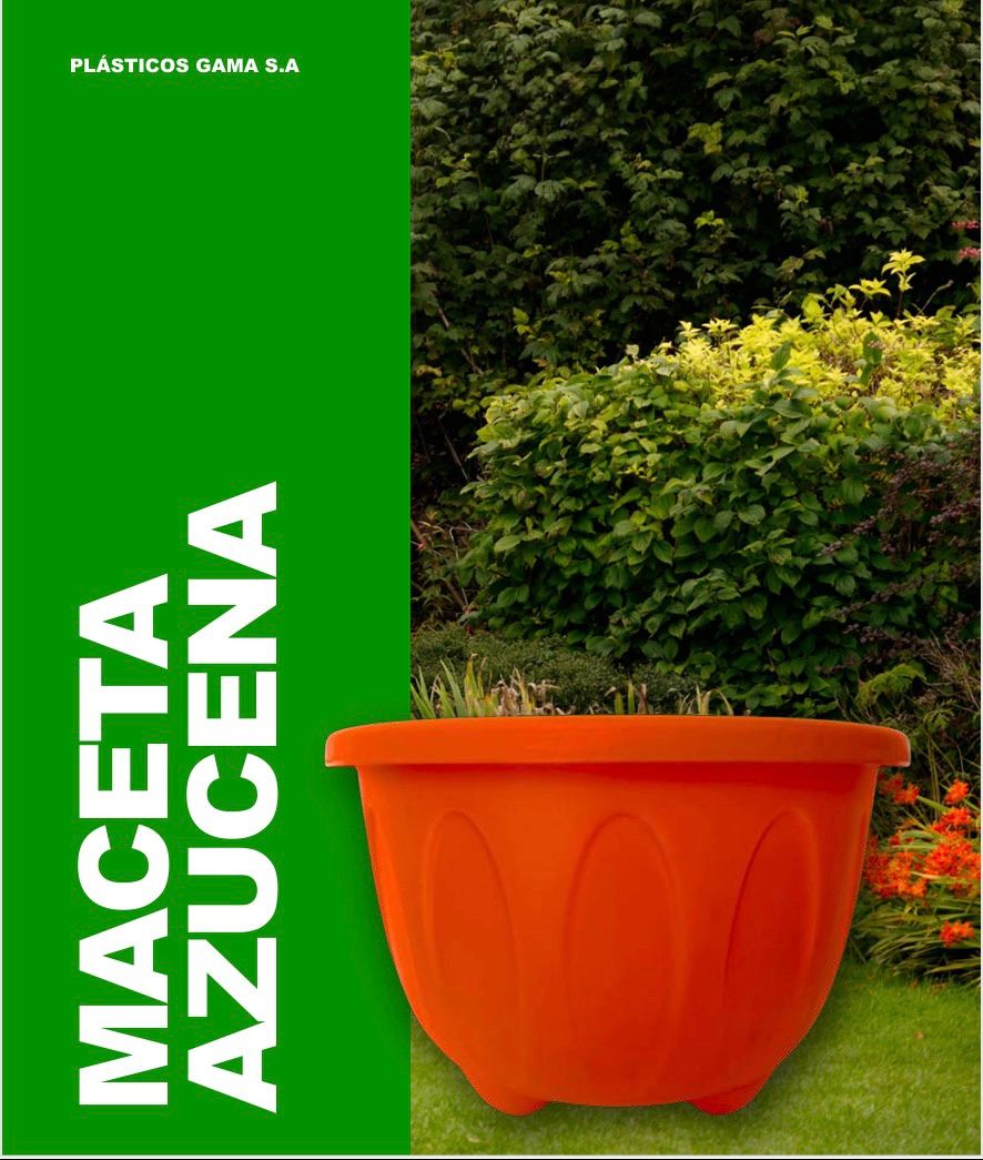 Maceta Azucena