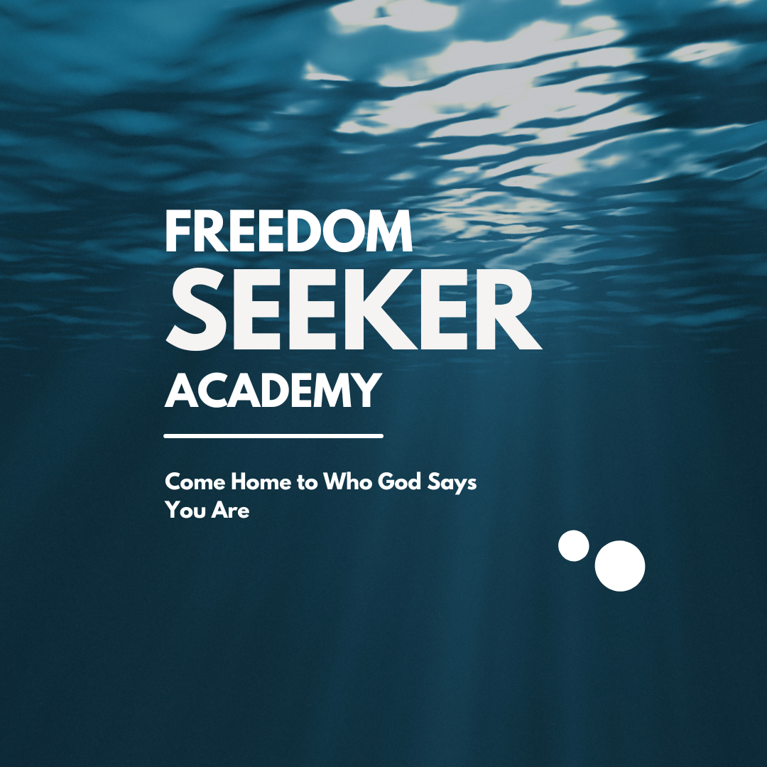 Freedom Seeker Academy