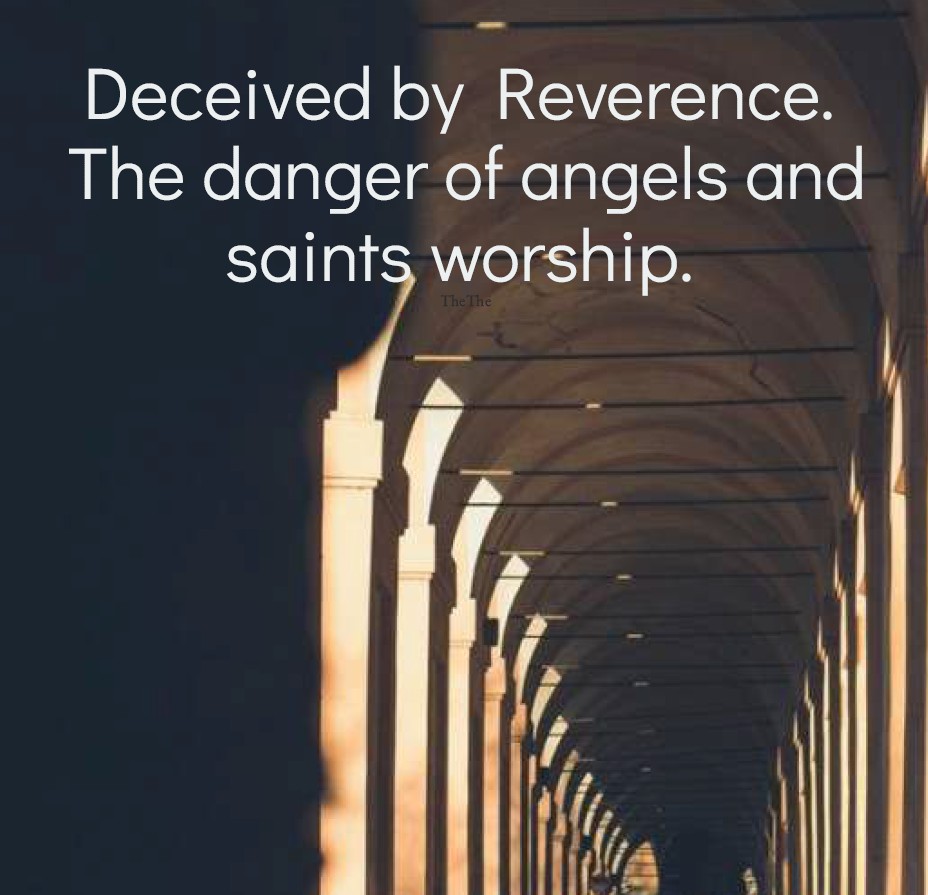 Deceived by Reverence - Book