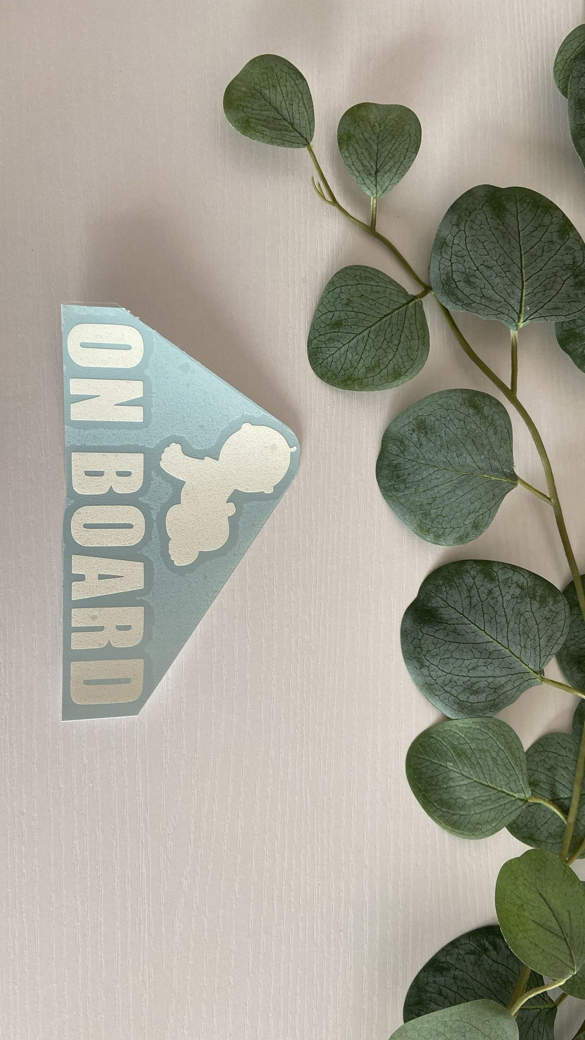 Baby on Board
