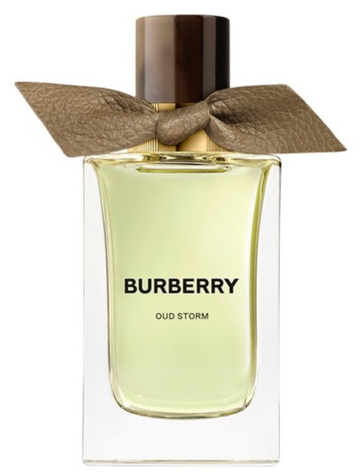 Burberry Oud Storm
