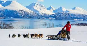 Paseo en trineo con perros en Tromsø