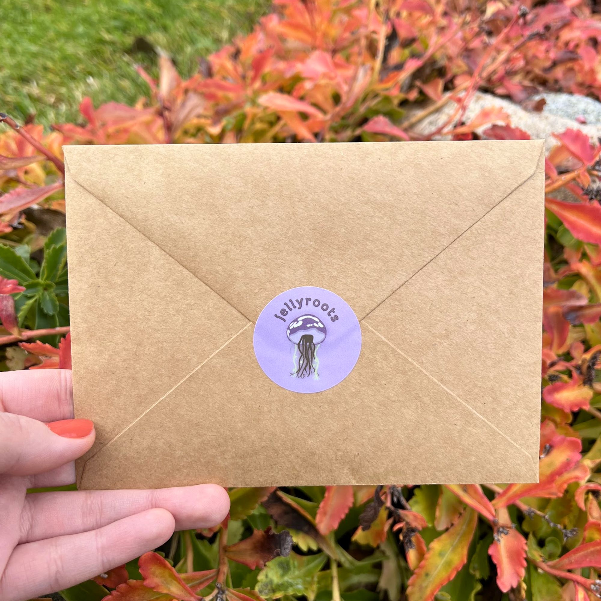 Wise Words from The Cat: A Snail Mail Club