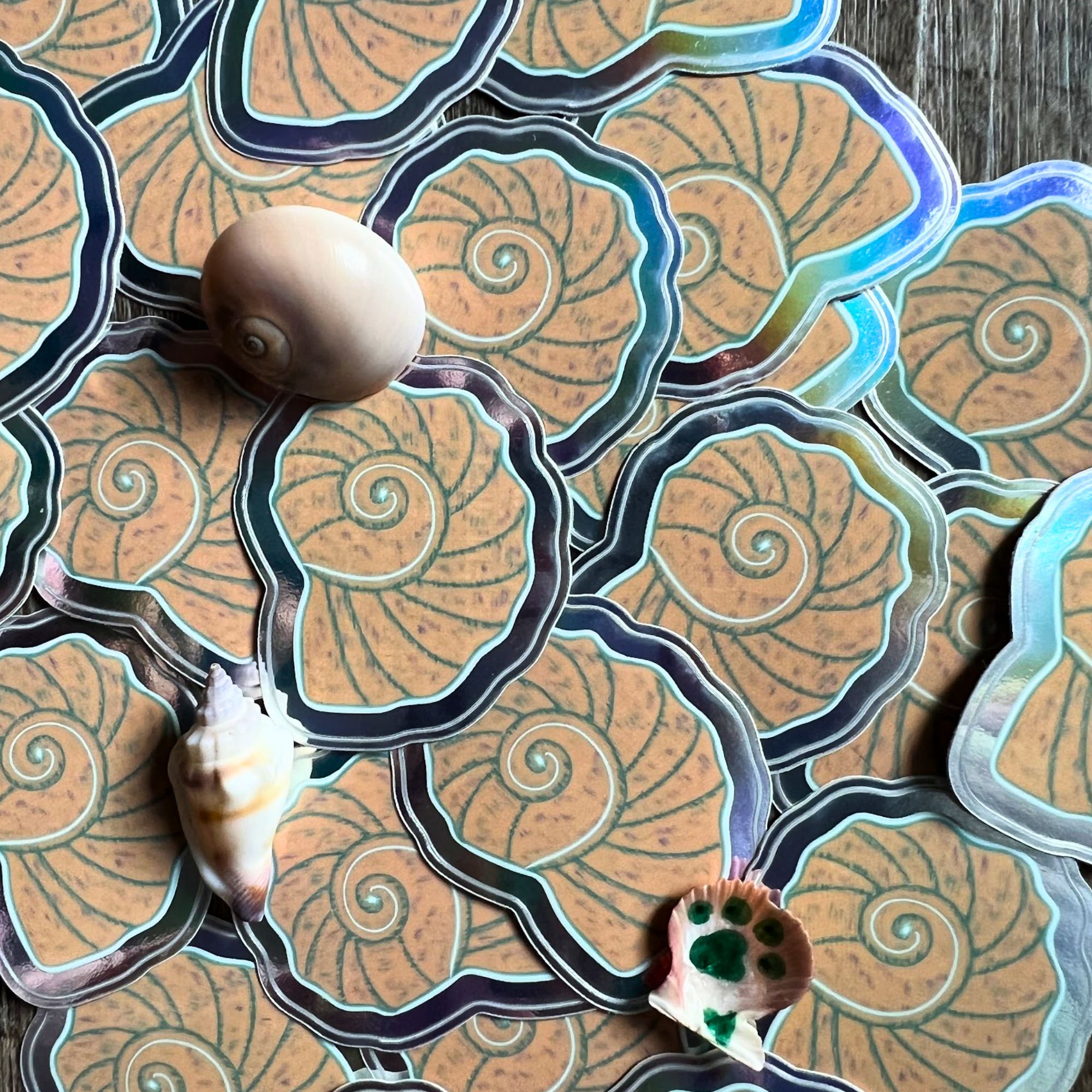 Shell Sticker - a tiny token from The Cat