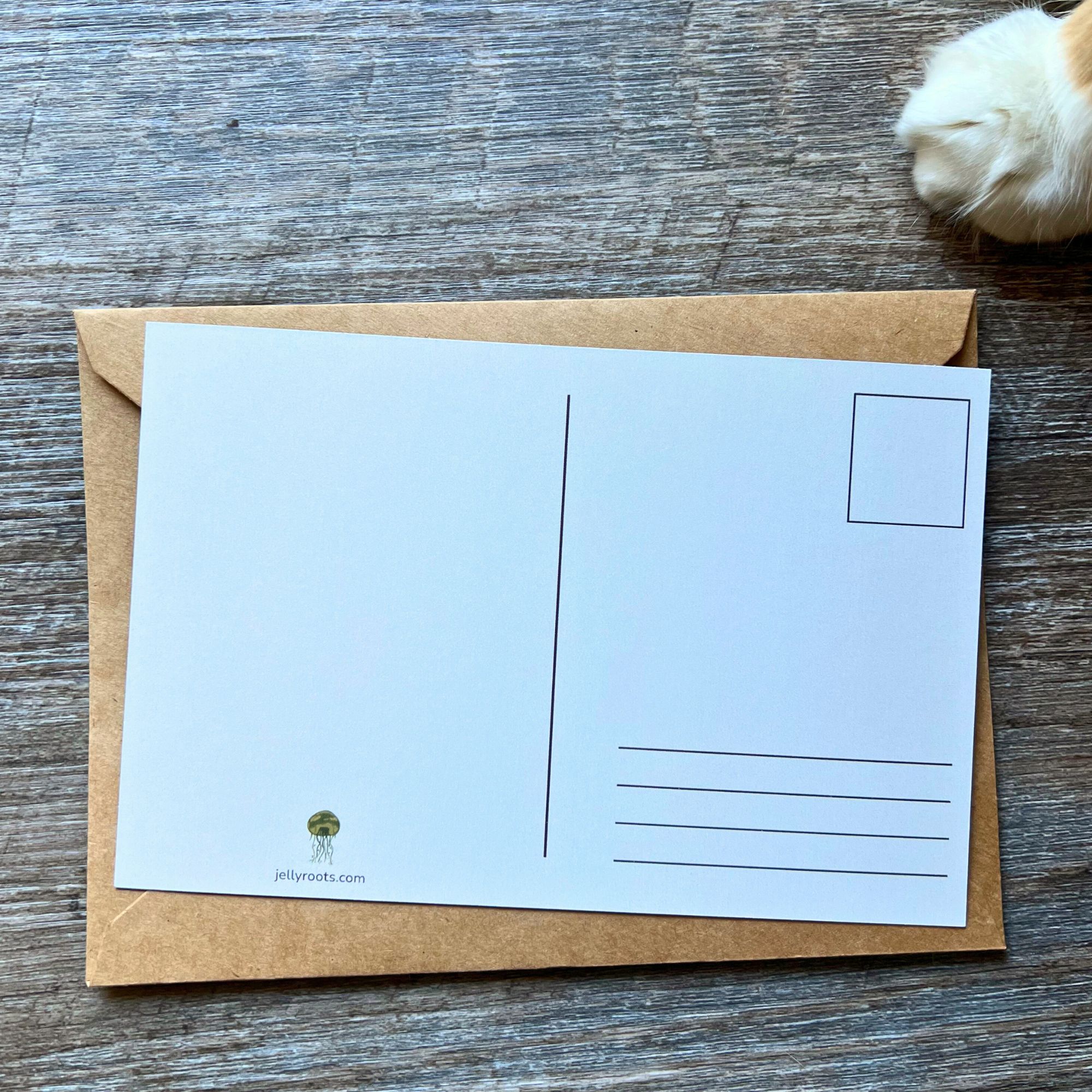 Wise Words from The Cat: A Snail Mail Club