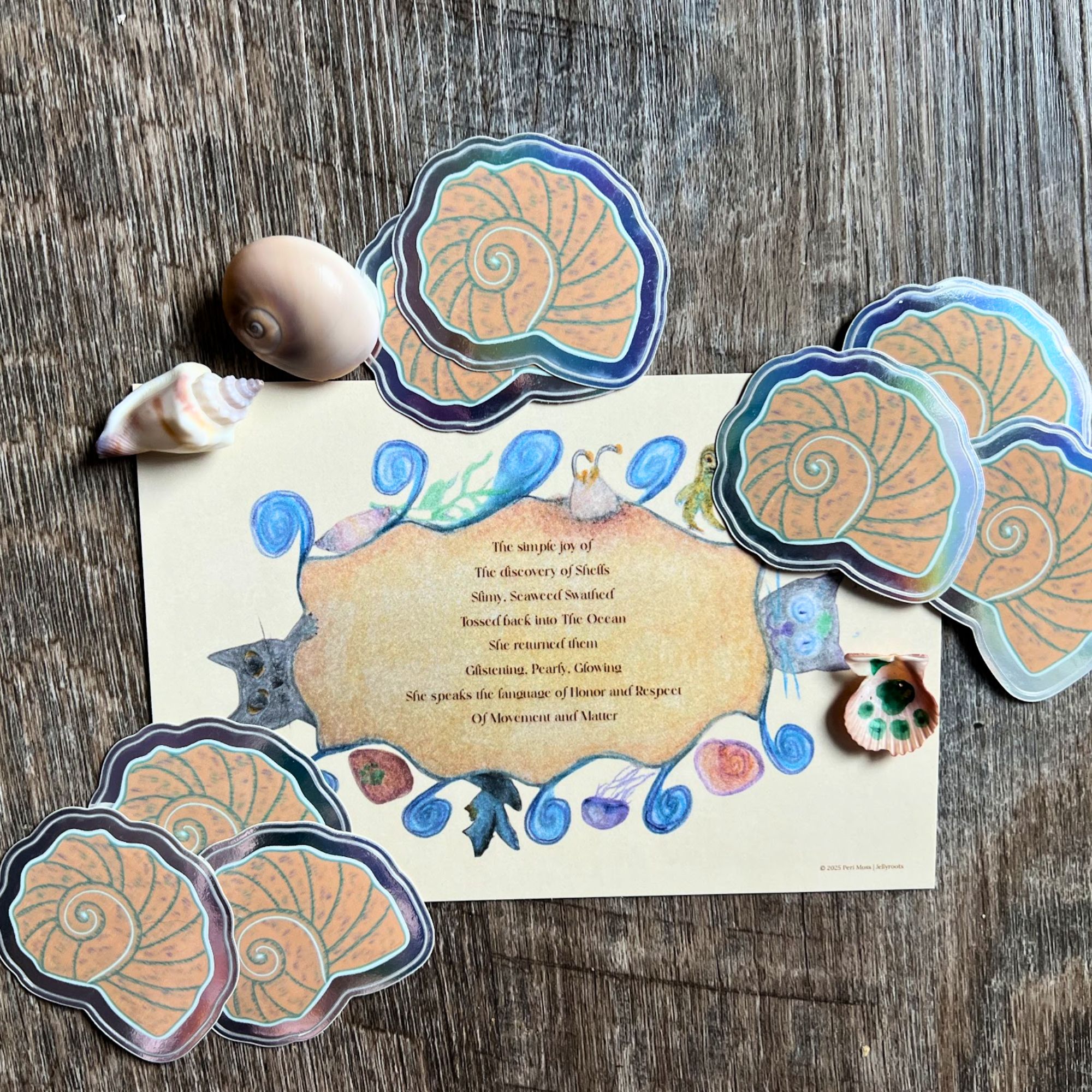 Shell Sticker - a tiny token from The Cat