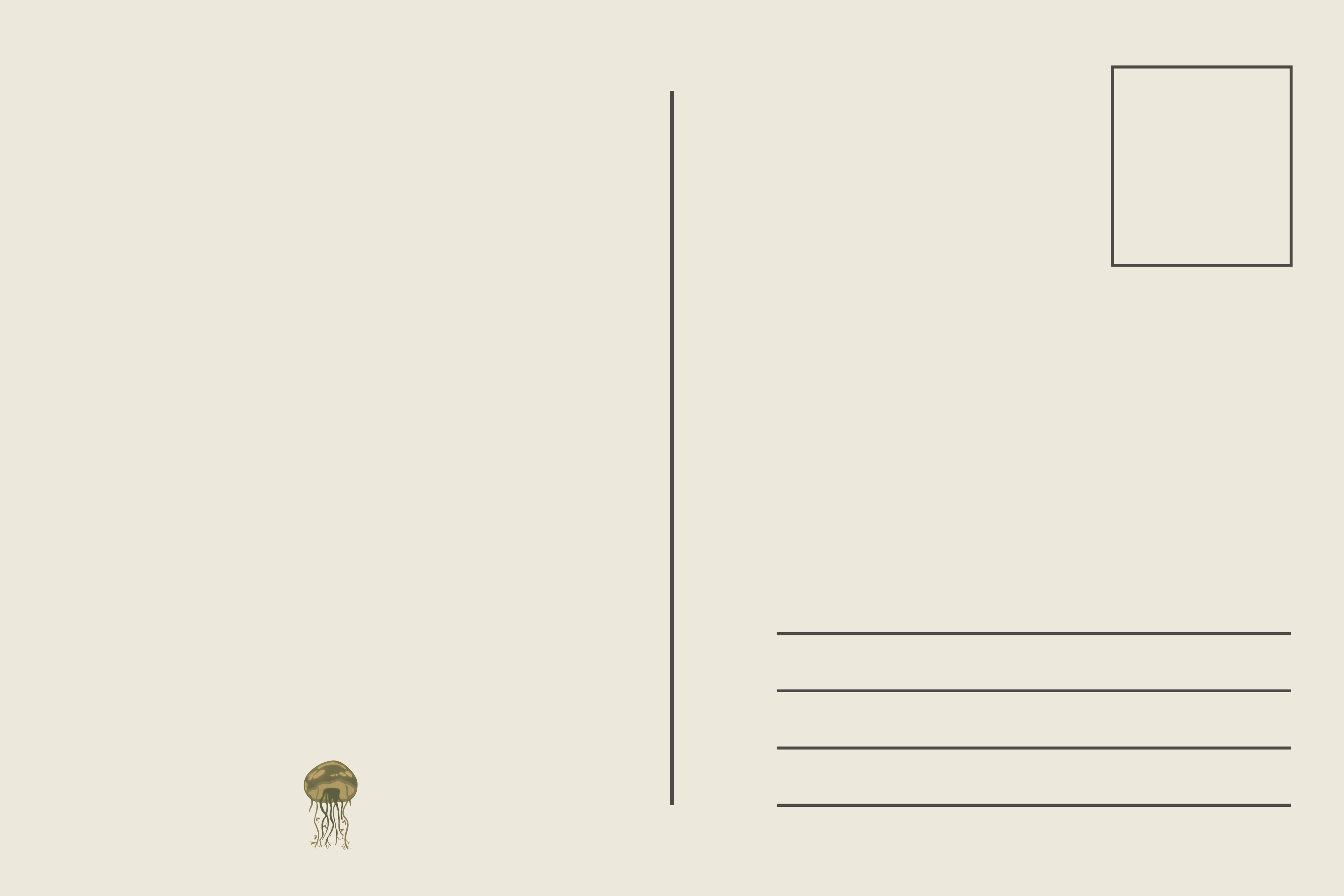 Pocket of Wonder 4x6 Art Print Postcard