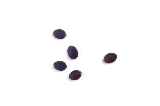 தாமரை விதை (Lotus Seeds)