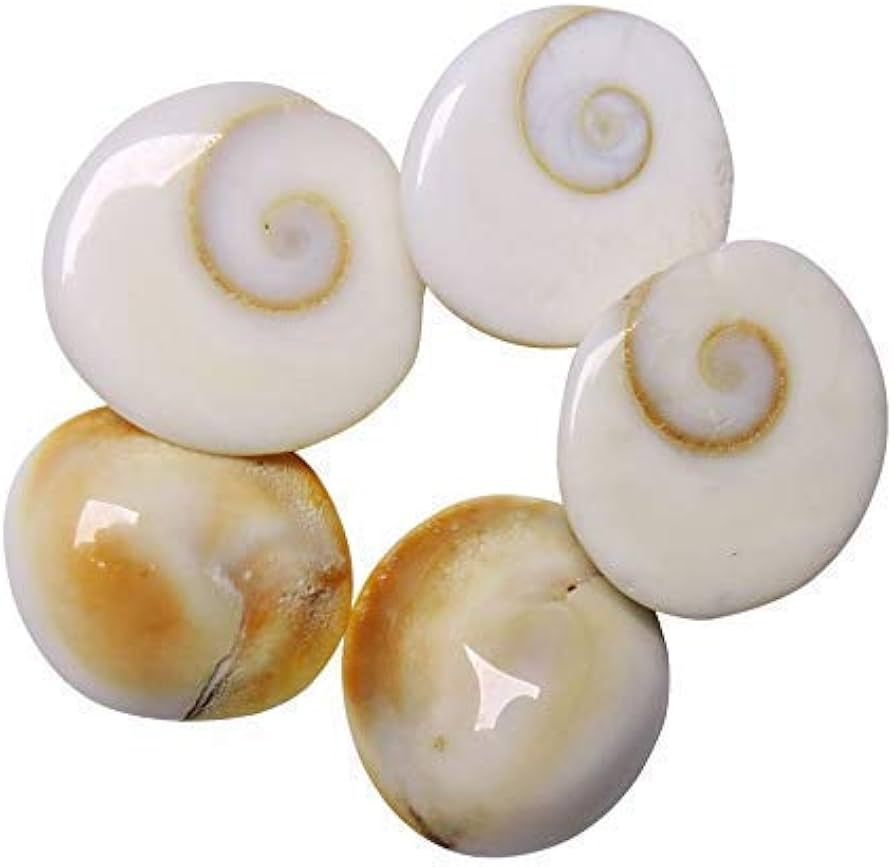 கோமாதா சக்கரம் (Gomatha Chakram)