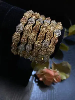 Elegant Gold and Silver Bangles