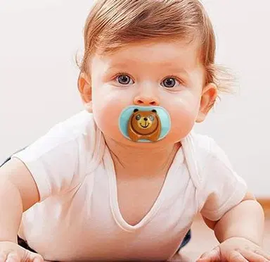 Baby Animal-Themed Pacifier