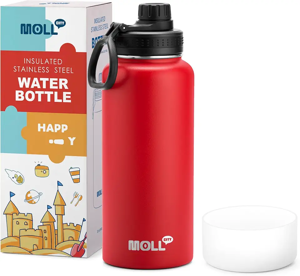 Moll City Insulated Stainless Steel Water Bottle