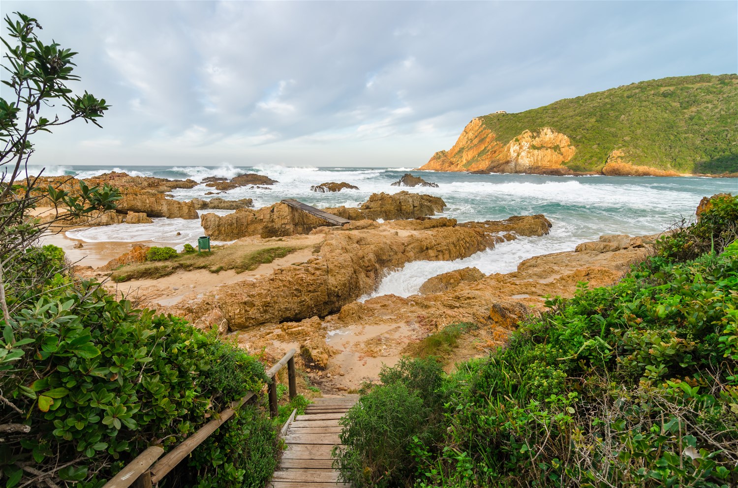 Garden Route Tour