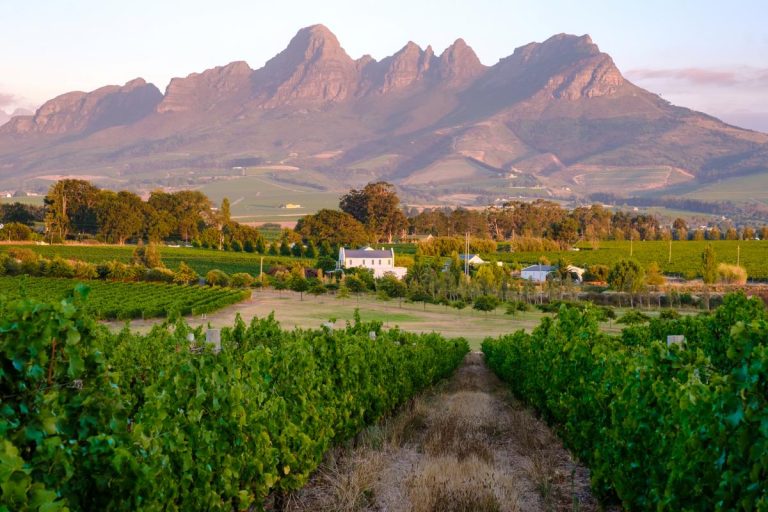 Cape Winelands Tour