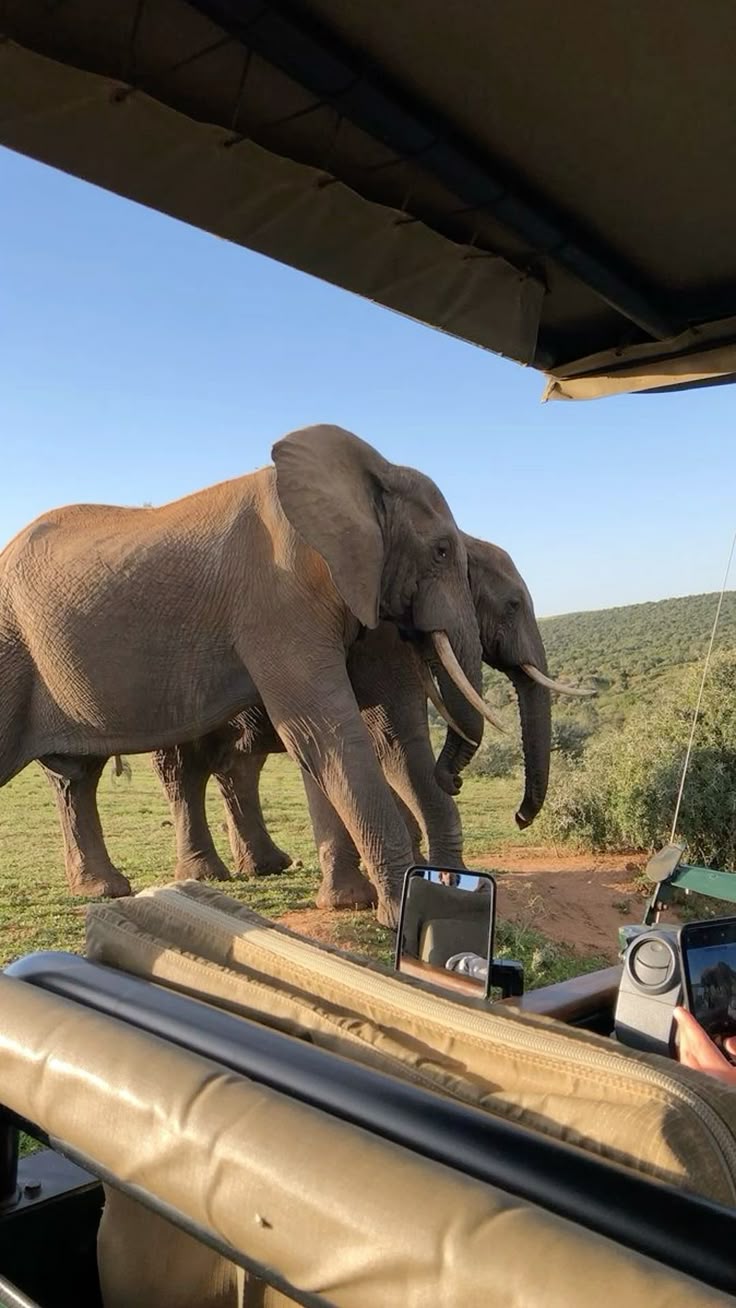 Game Reserves- (Aquila or Inverdoorn Game Reserves)