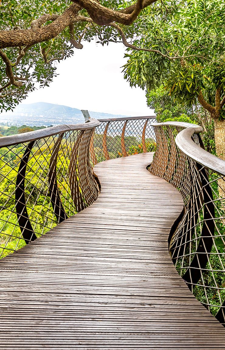 Kirstenbosch Botanical Gardens 