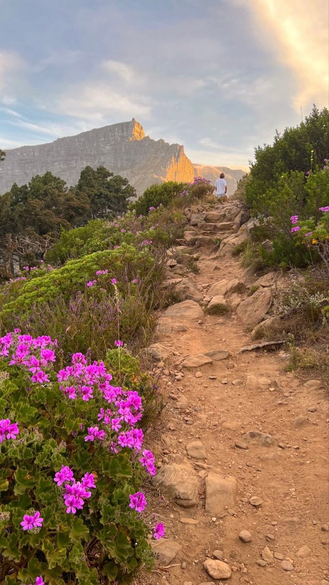 Kirstenbosch Botanical Gardens 