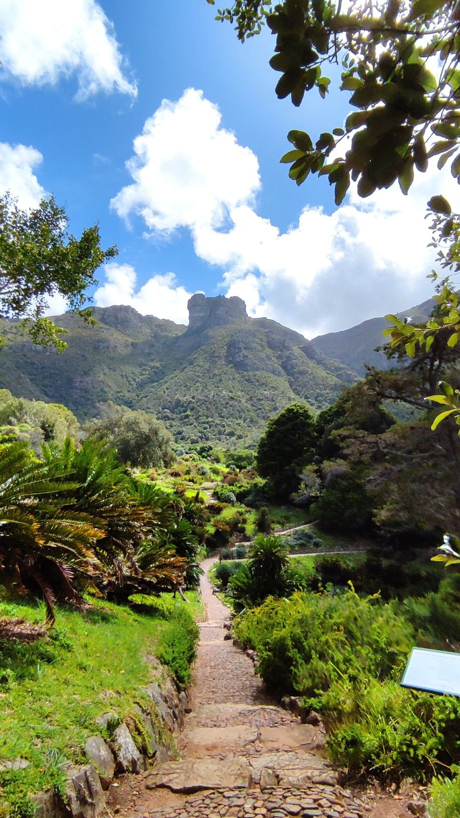 Kirstenbosch Botanical Gardens