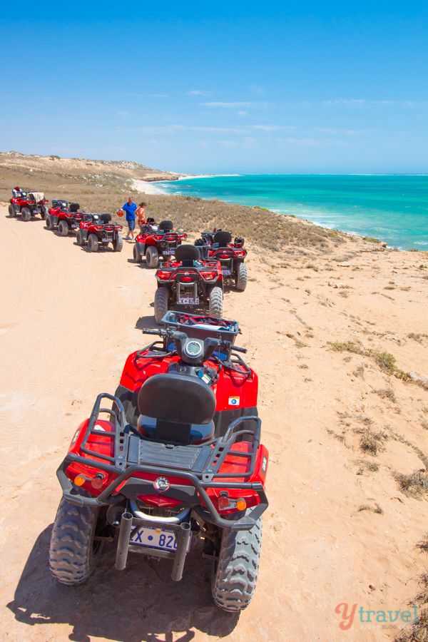 Quad-biking Half-day Private Tour