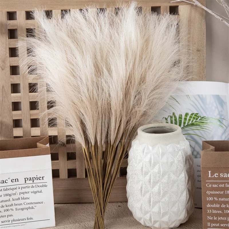 Herbe de la pampa décorative