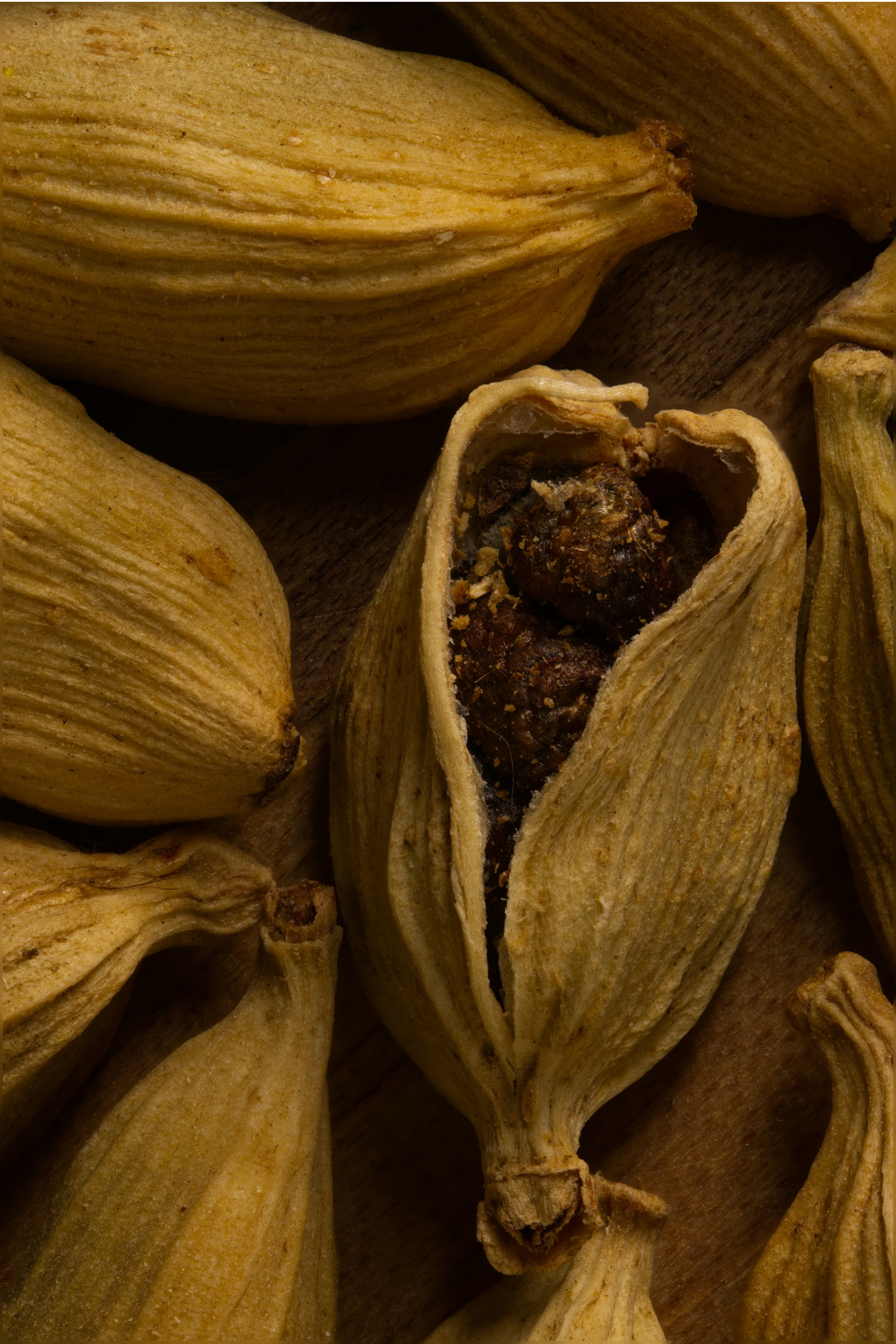 Cardamom