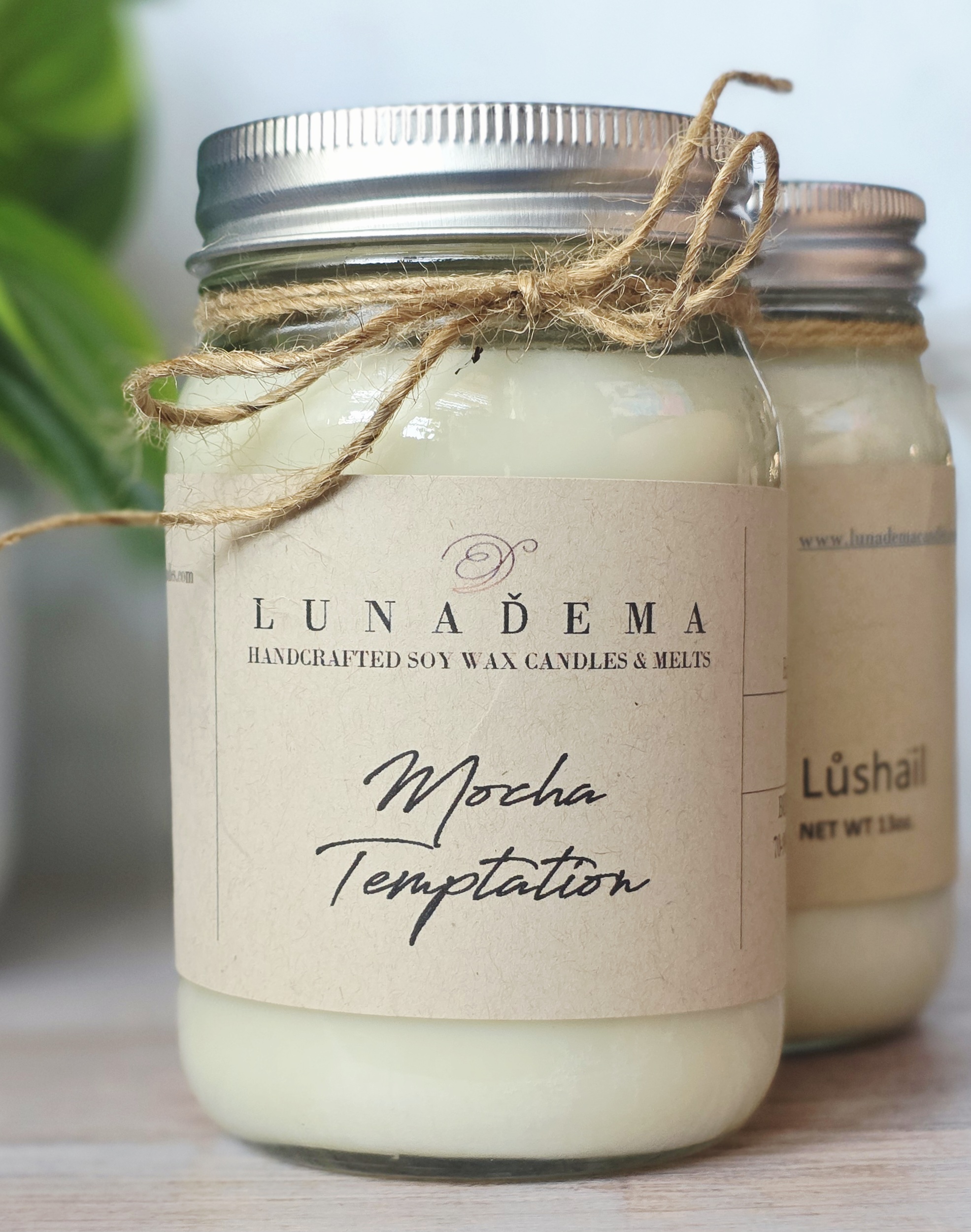 Mocha Temptation