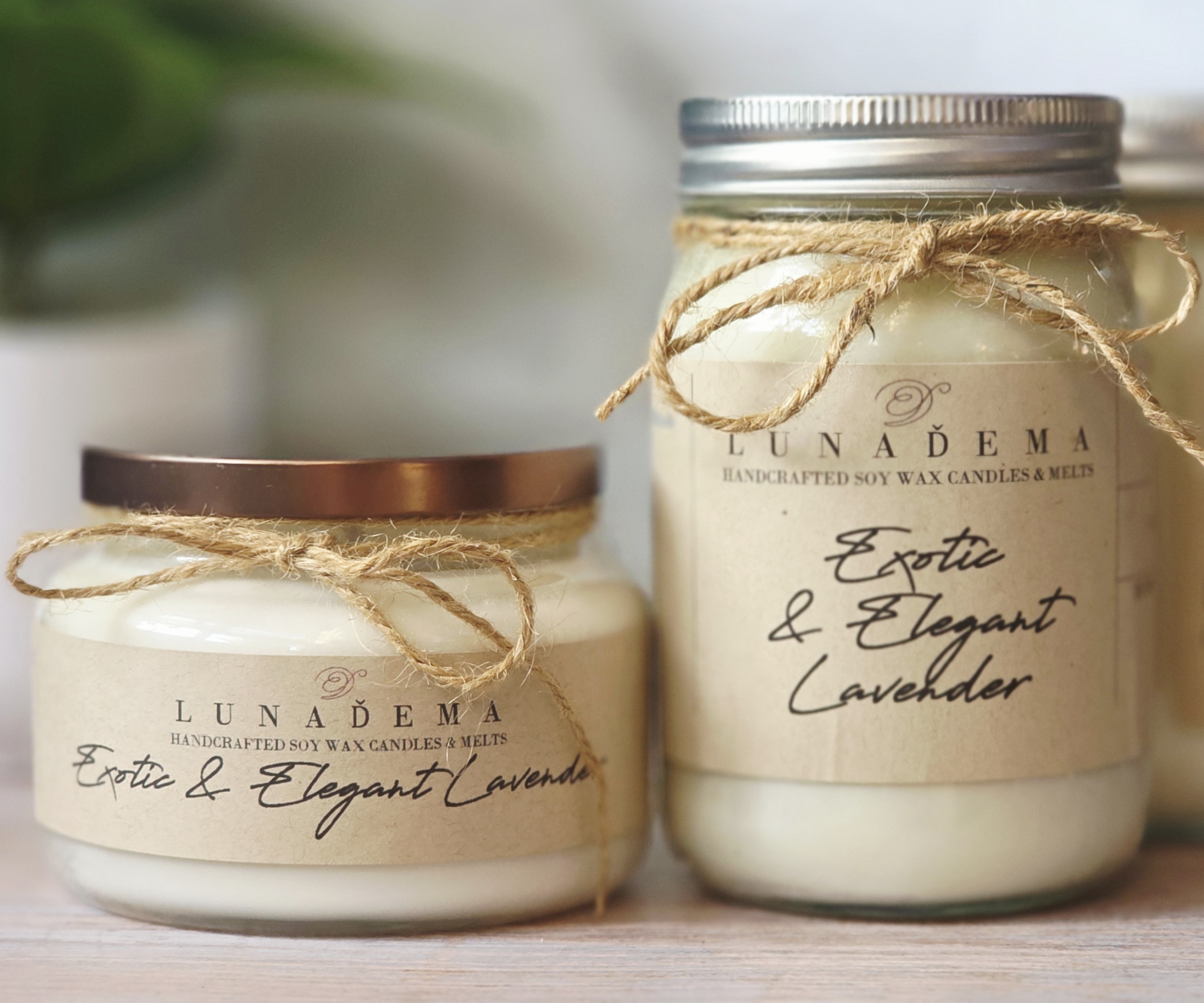 Exotic And Elegant Lavendel