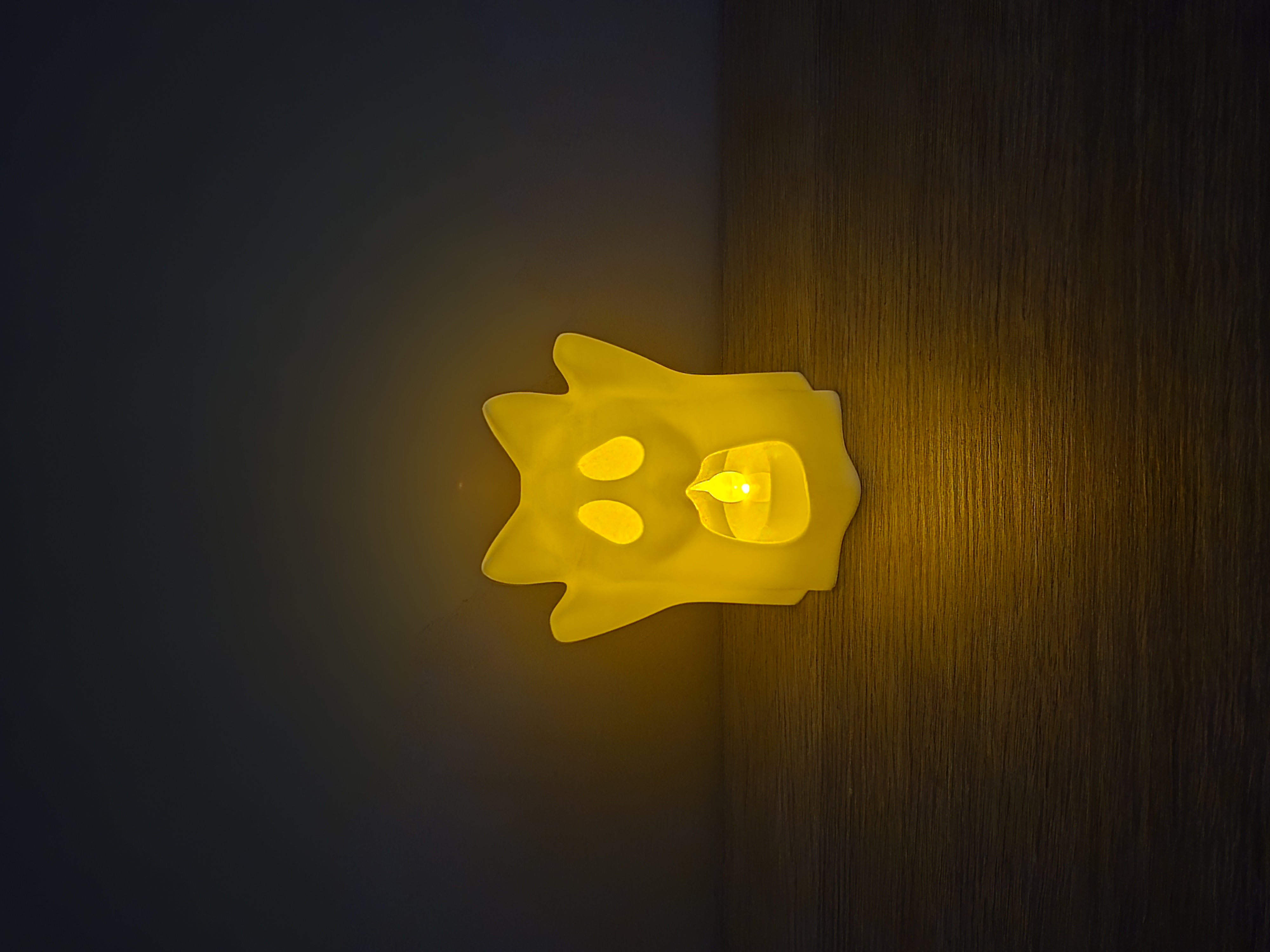 Lanterna gatto fantasma