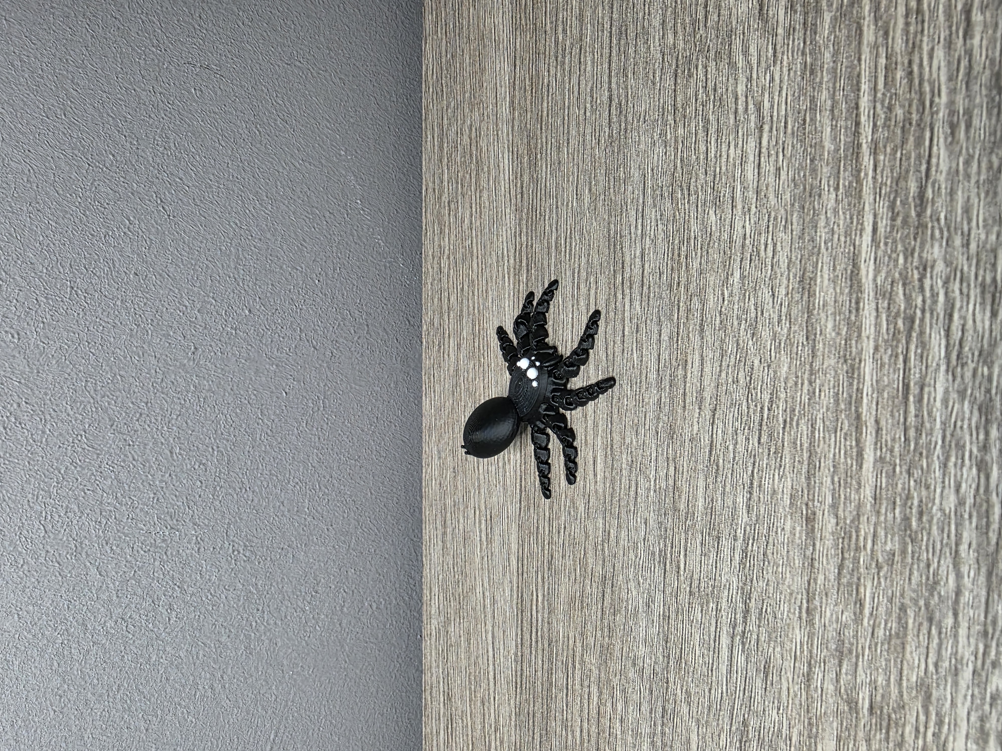 Fidget ragno magnetico