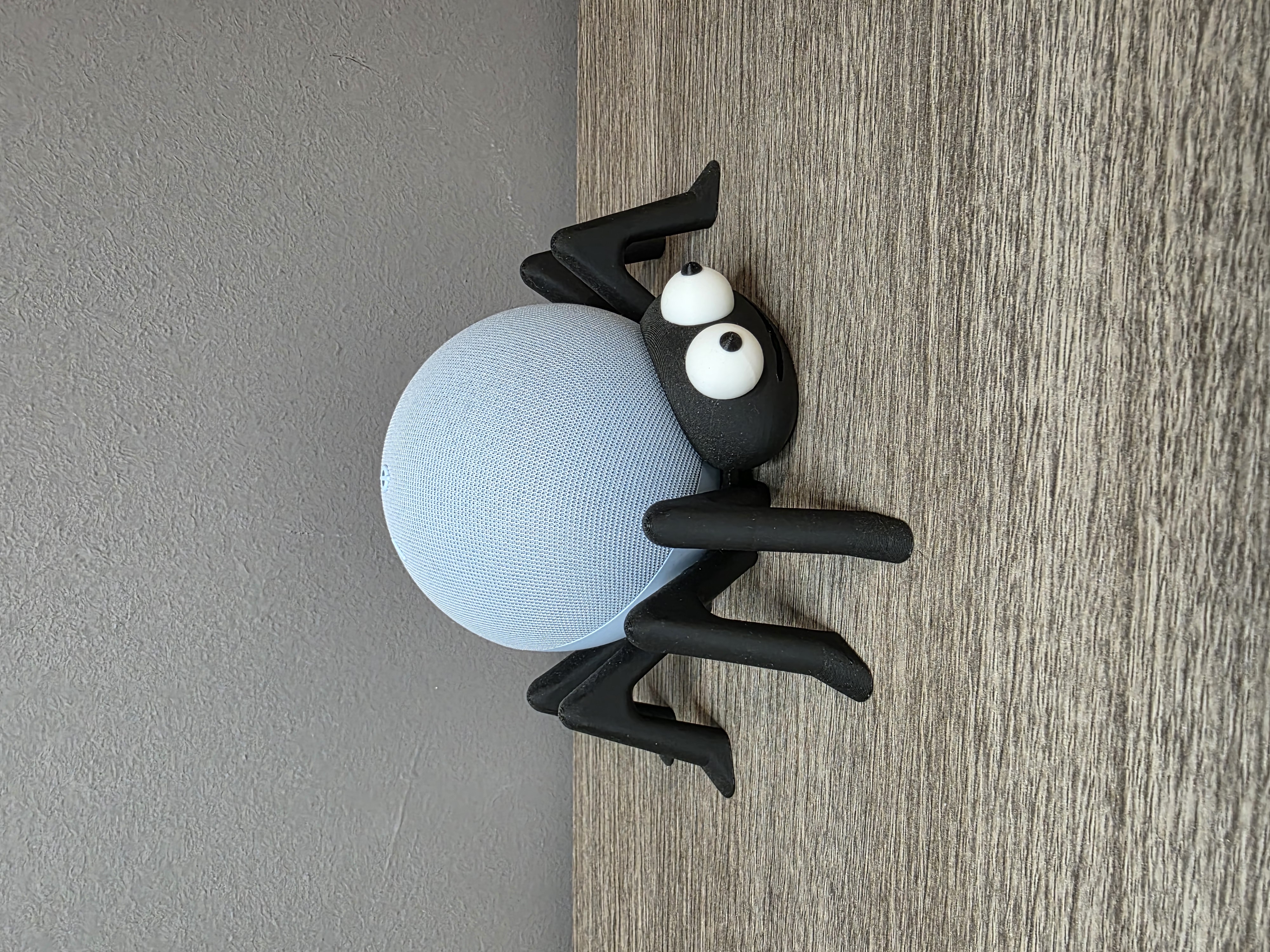 Supporto Alexa Echo Dot